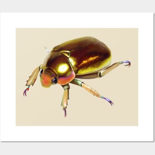 Golden Scarab Beetle Posters and Art